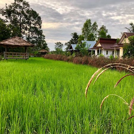 Baan Thung Home Stay Prasat Екстер'єр фото