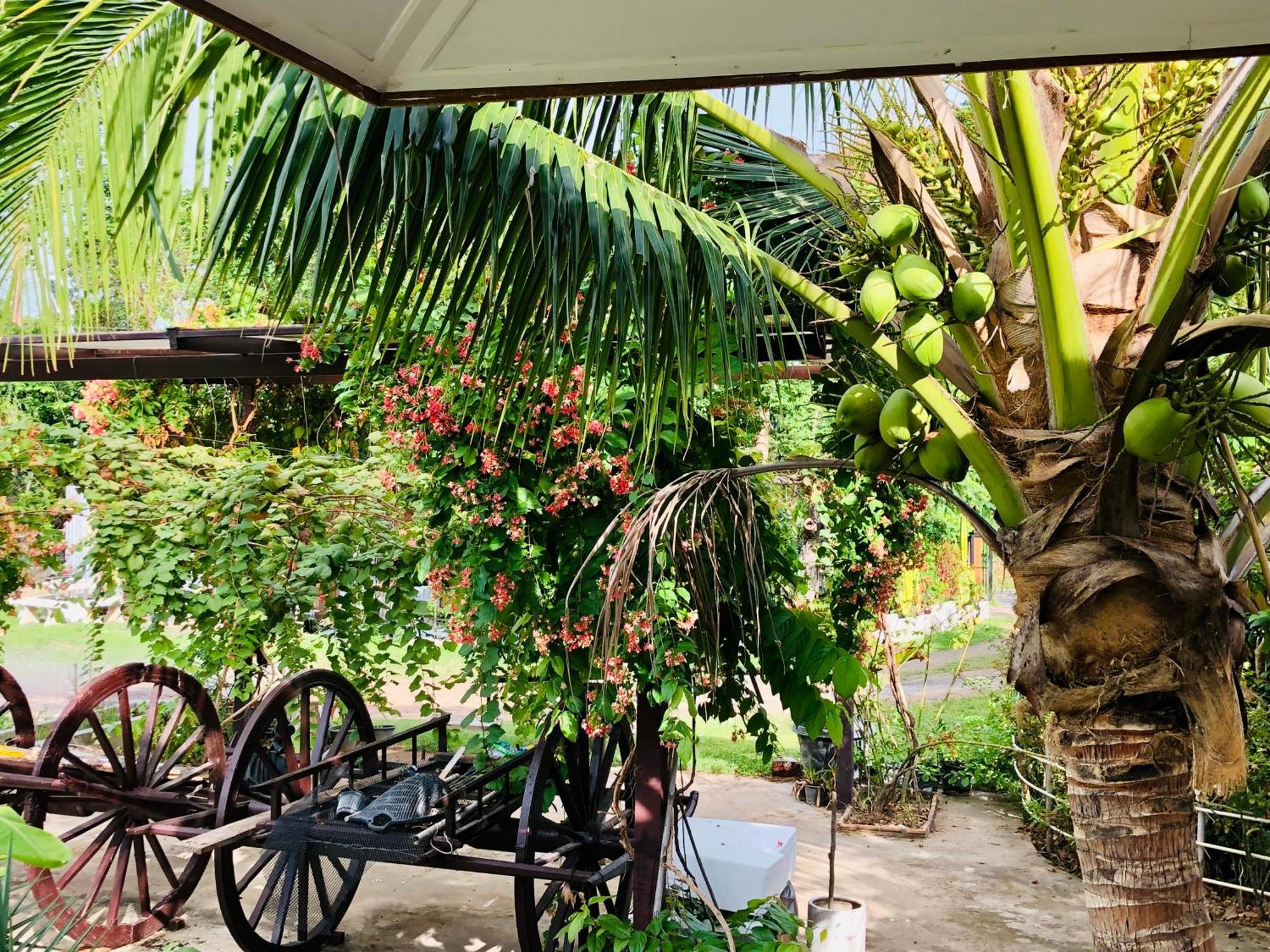 Baan Thung Home Stay Prasat Екстер'єр фото
