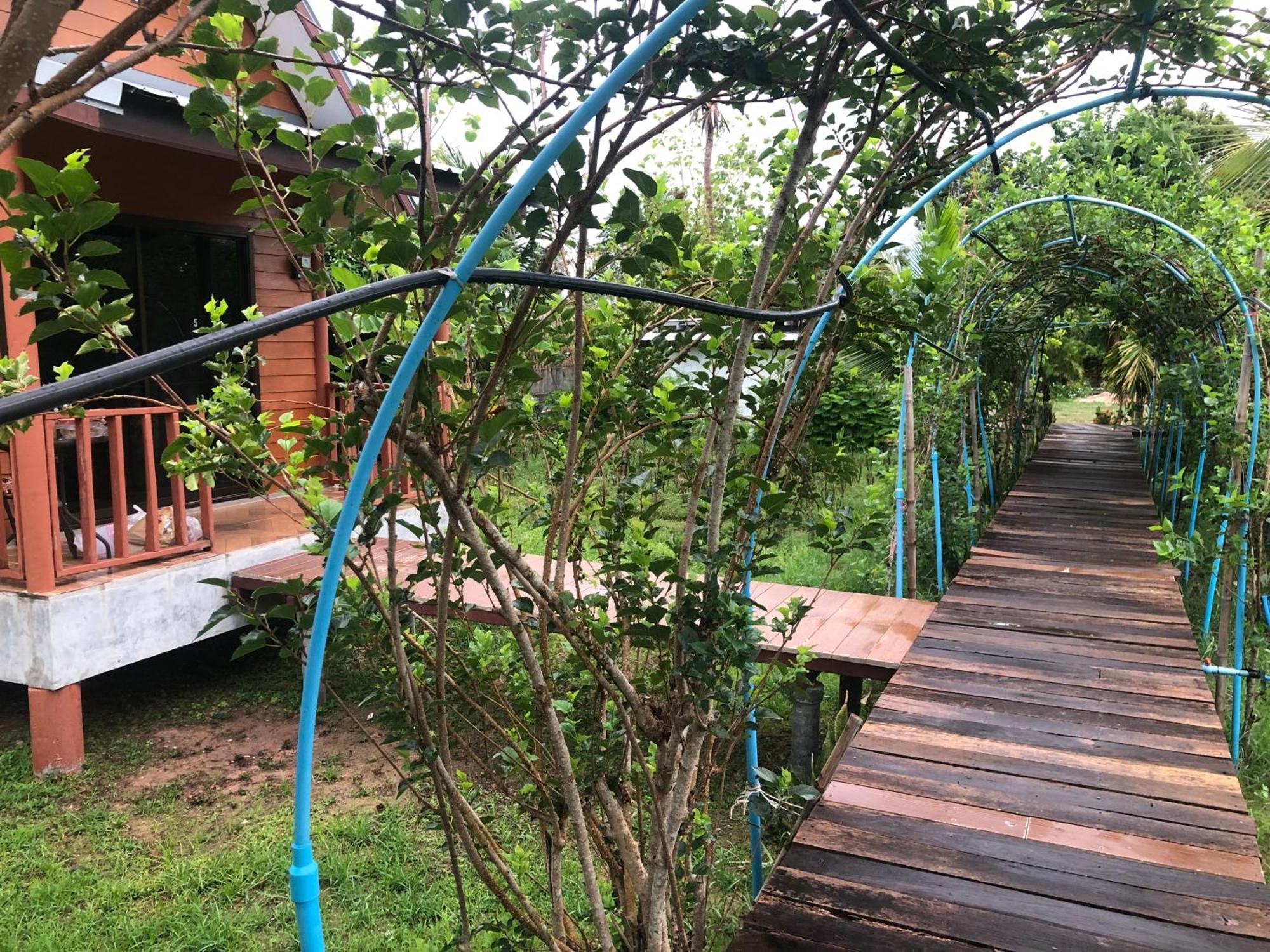 Baan Thung Home Stay Prasat Екстер'єр фото
