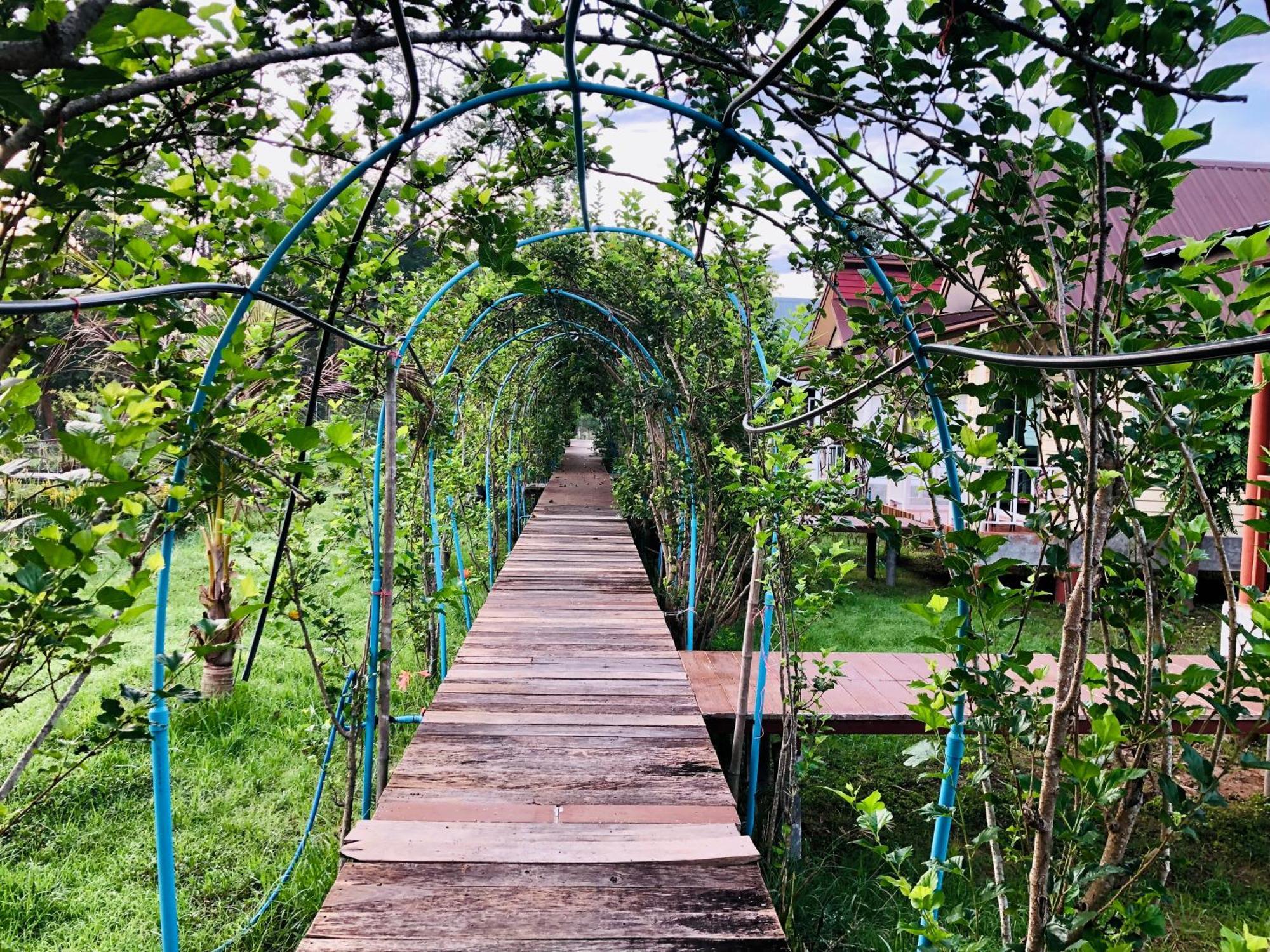 Baan Thung Home Stay Prasat Екстер'єр фото