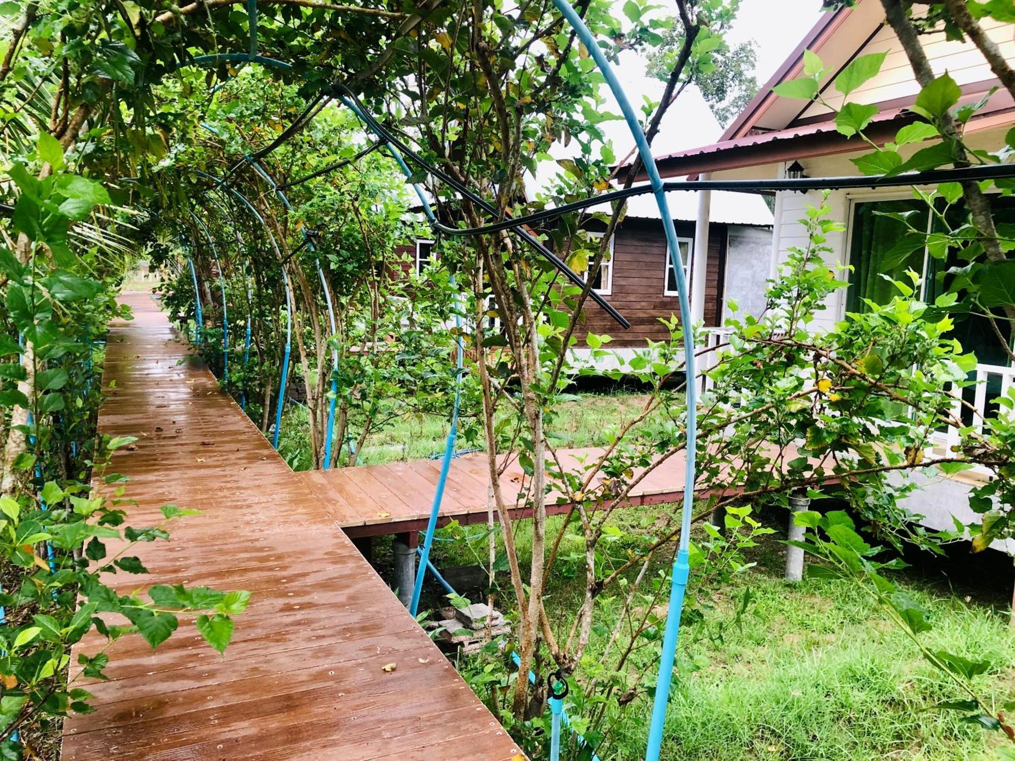 Baan Thung Home Stay Prasat Екстер'єр фото