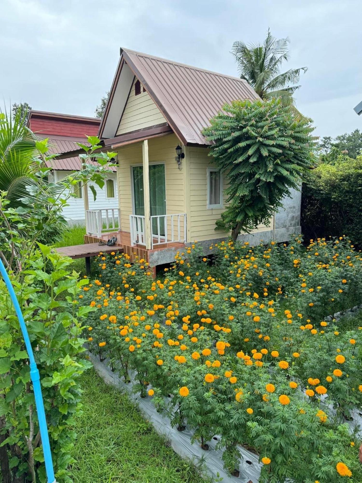 Baan Thung Home Stay Prasat Екстер'єр фото