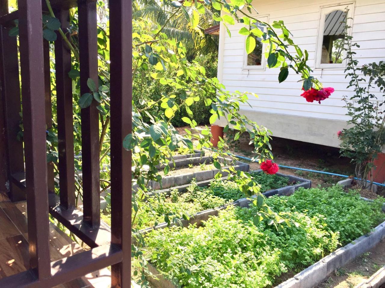 Baan Thung Home Stay Prasat Екстер'єр фото