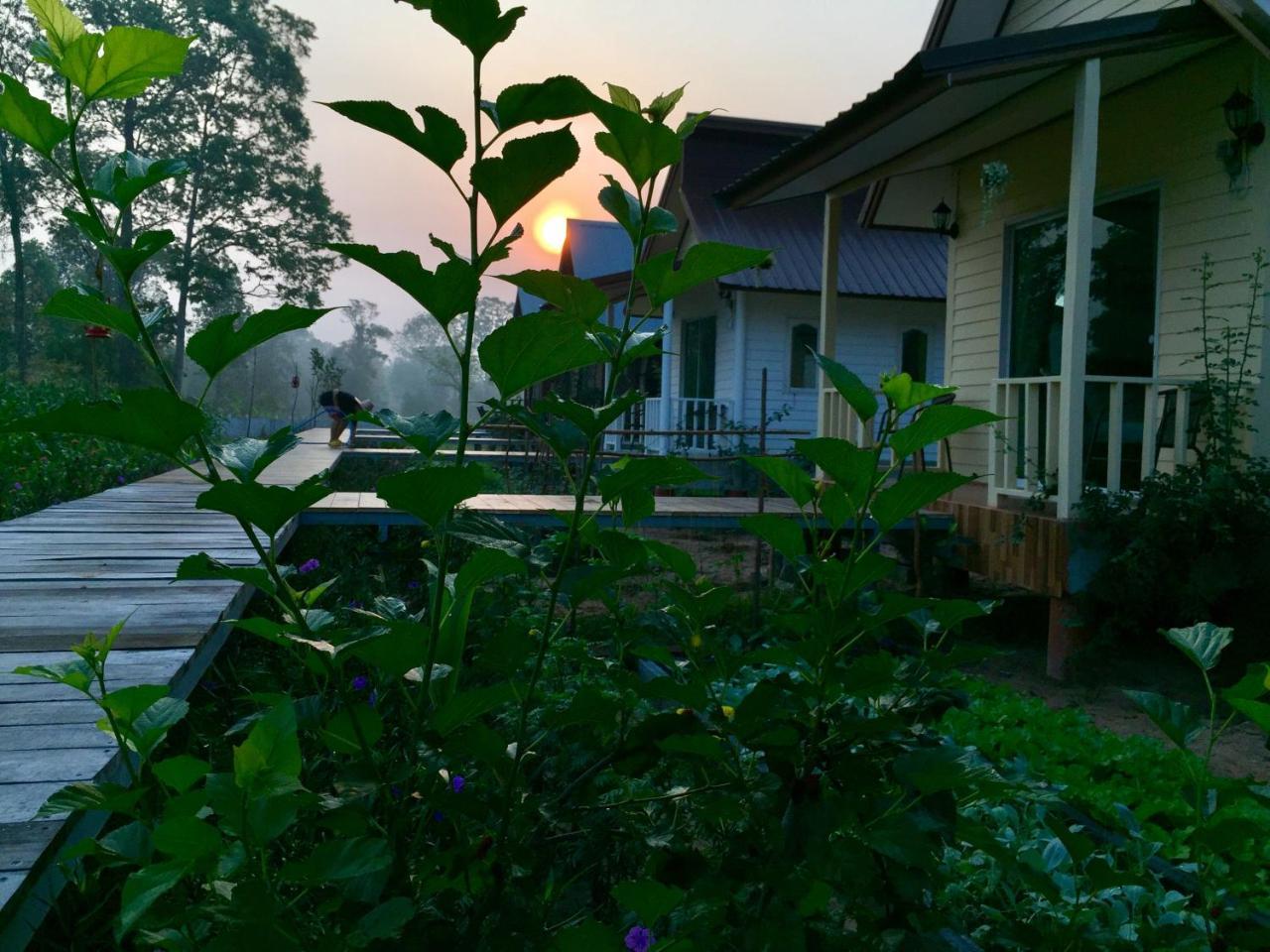 Baan Thung Home Stay Prasat Екстер'єр фото