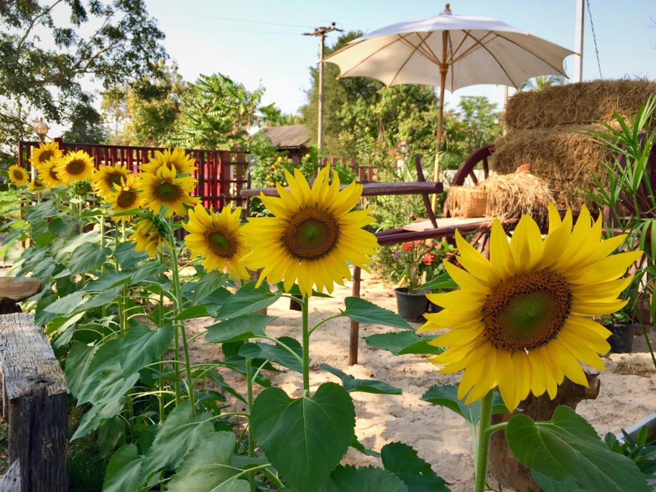 Baan Thung Home Stay Prasat Екстер'єр фото
