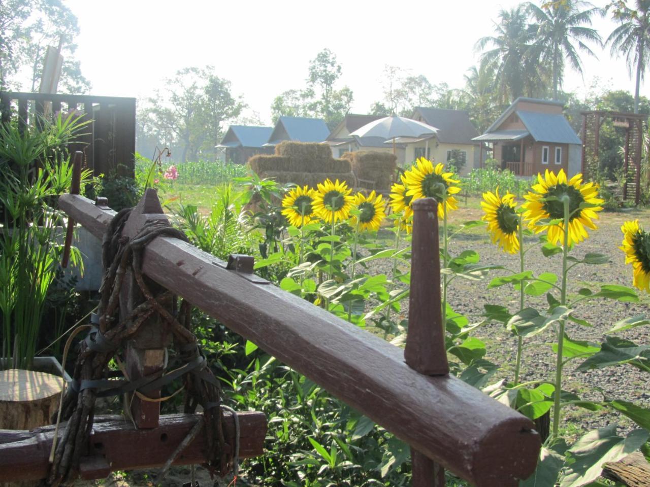 Baan Thung Home Stay Prasat Екстер'єр фото