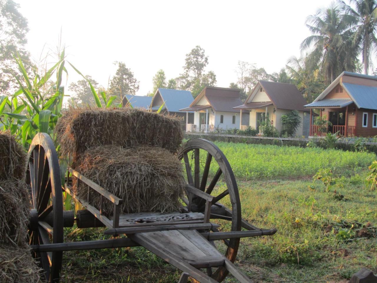 Baan Thung Home Stay Prasat Екстер'єр фото