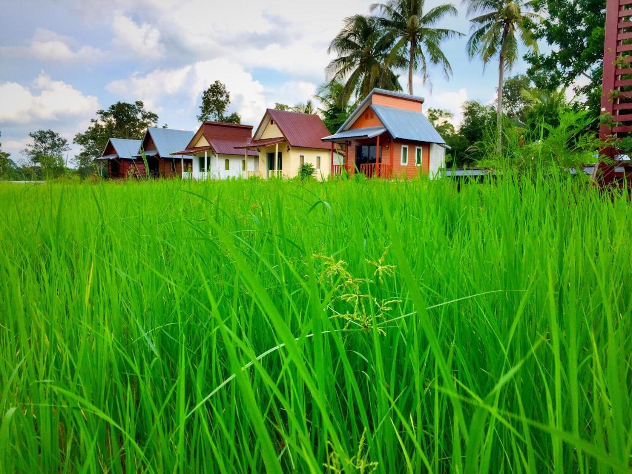 Baan Thung Home Stay Prasat Екстер'єр фото