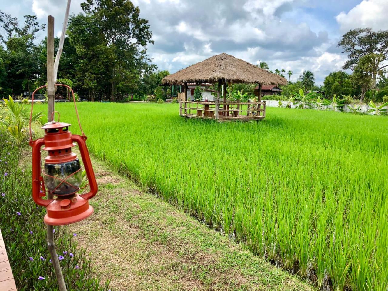 Baan Thung Home Stay Prasat Екстер'єр фото