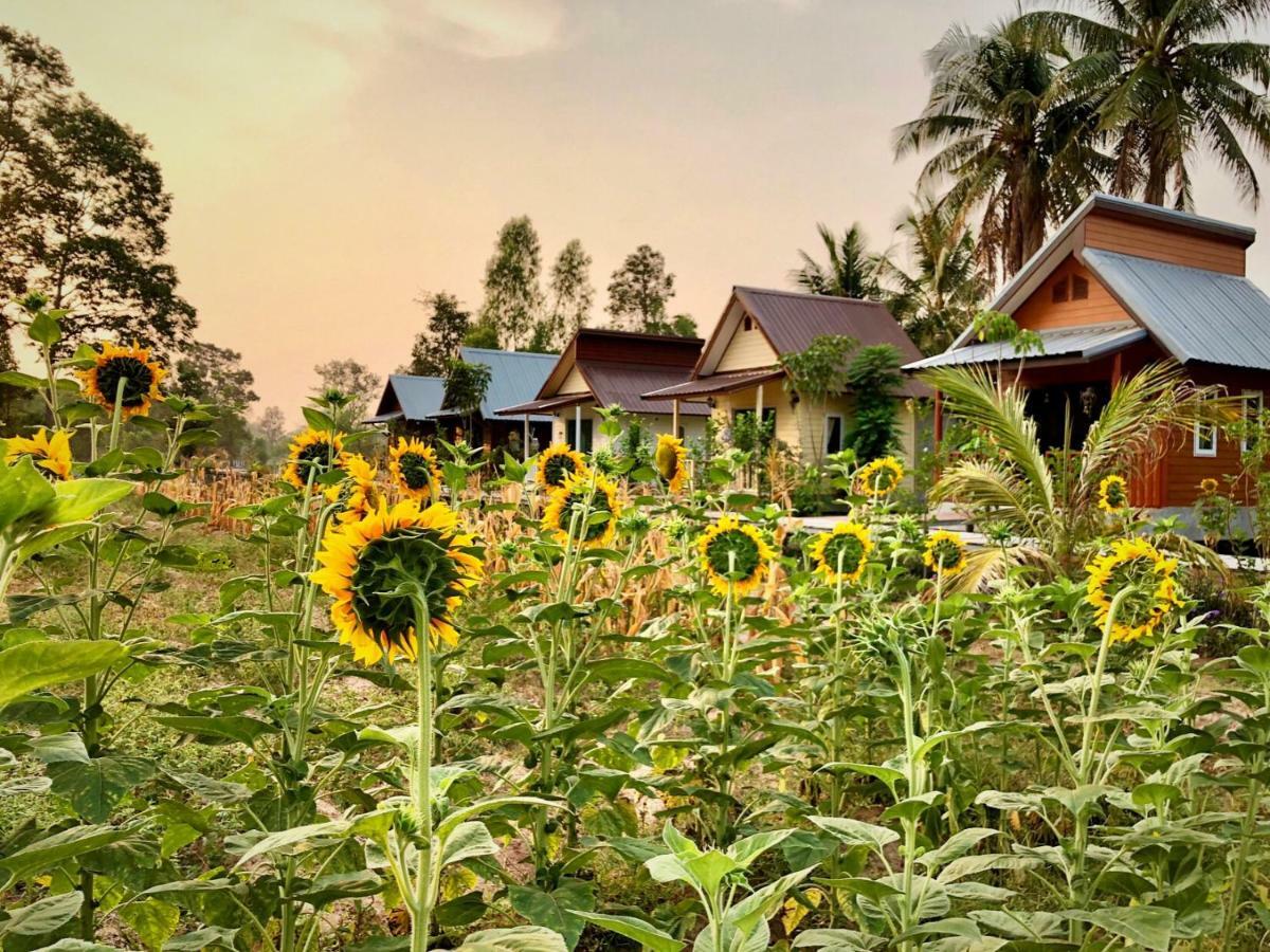 Baan Thung Home Stay Prasat Екстер'єр фото