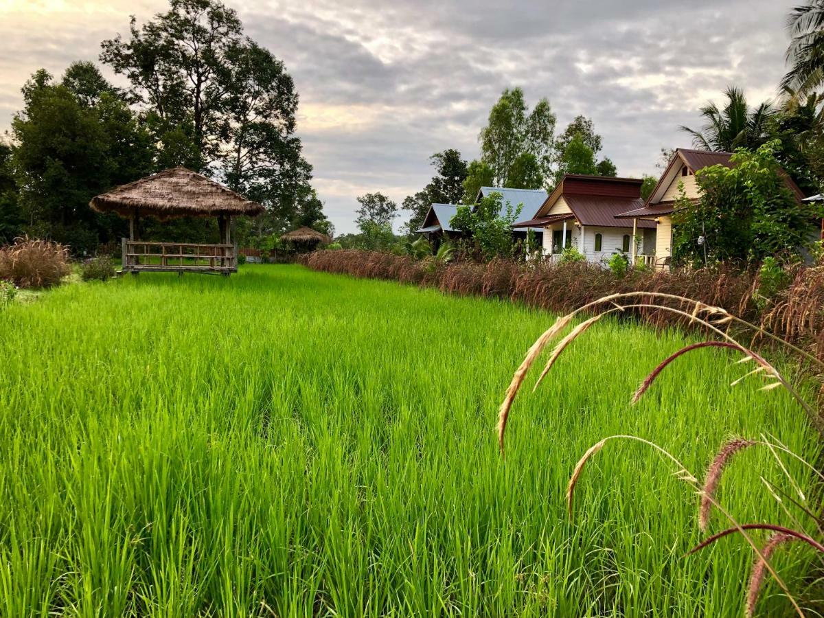 Baan Thung Home Stay Prasat Екстер'єр фото