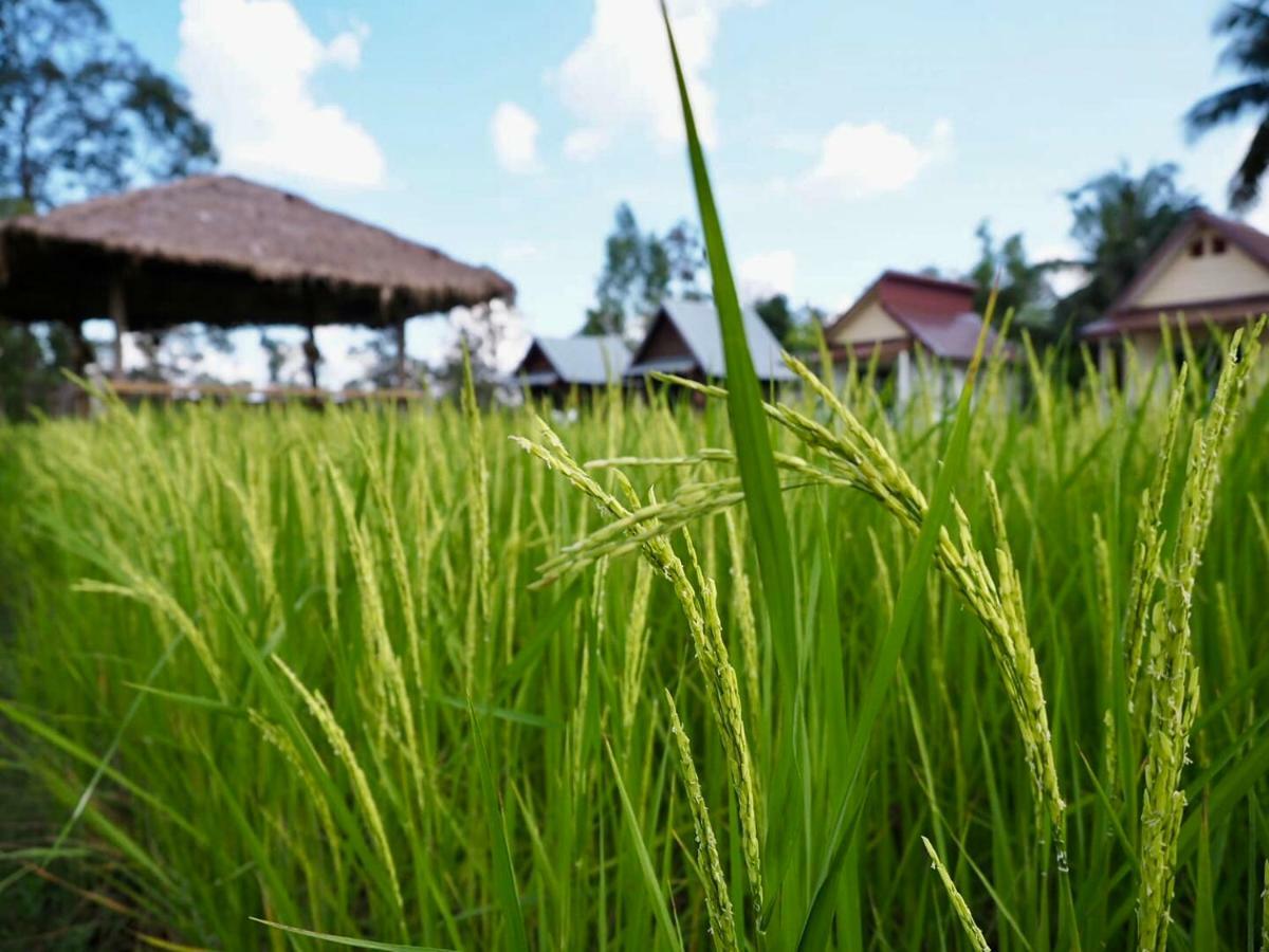 Baan Thung Home Stay Prasat Екстер'єр фото