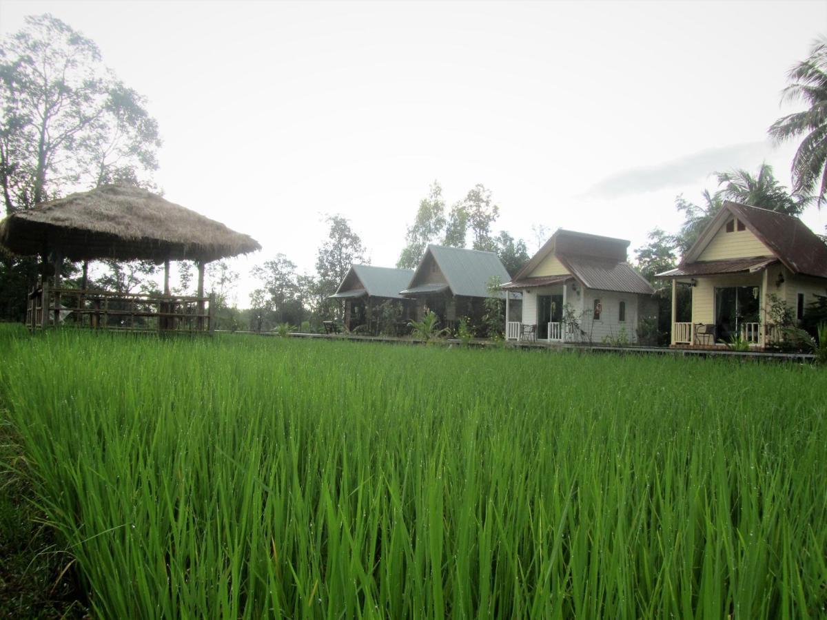 Baan Thung Home Stay Prasat Екстер'єр фото