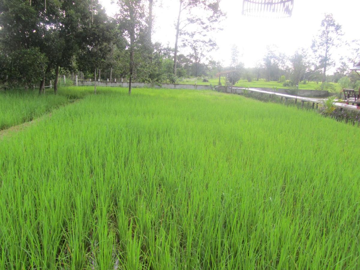 Baan Thung Home Stay Prasat Екстер'єр фото